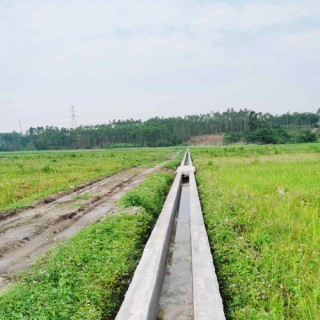 遂溪县高标准农田建设项目