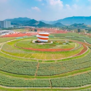 深圳市华侨城光明小镇欢乐田园项目